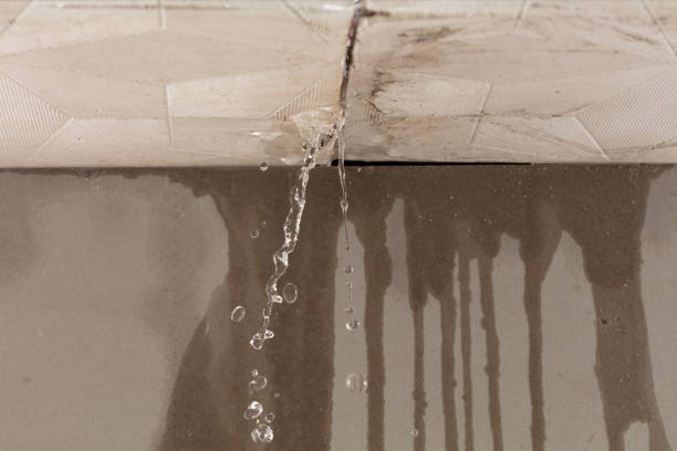 Professional Structural Drying technician working in Lamont, WA